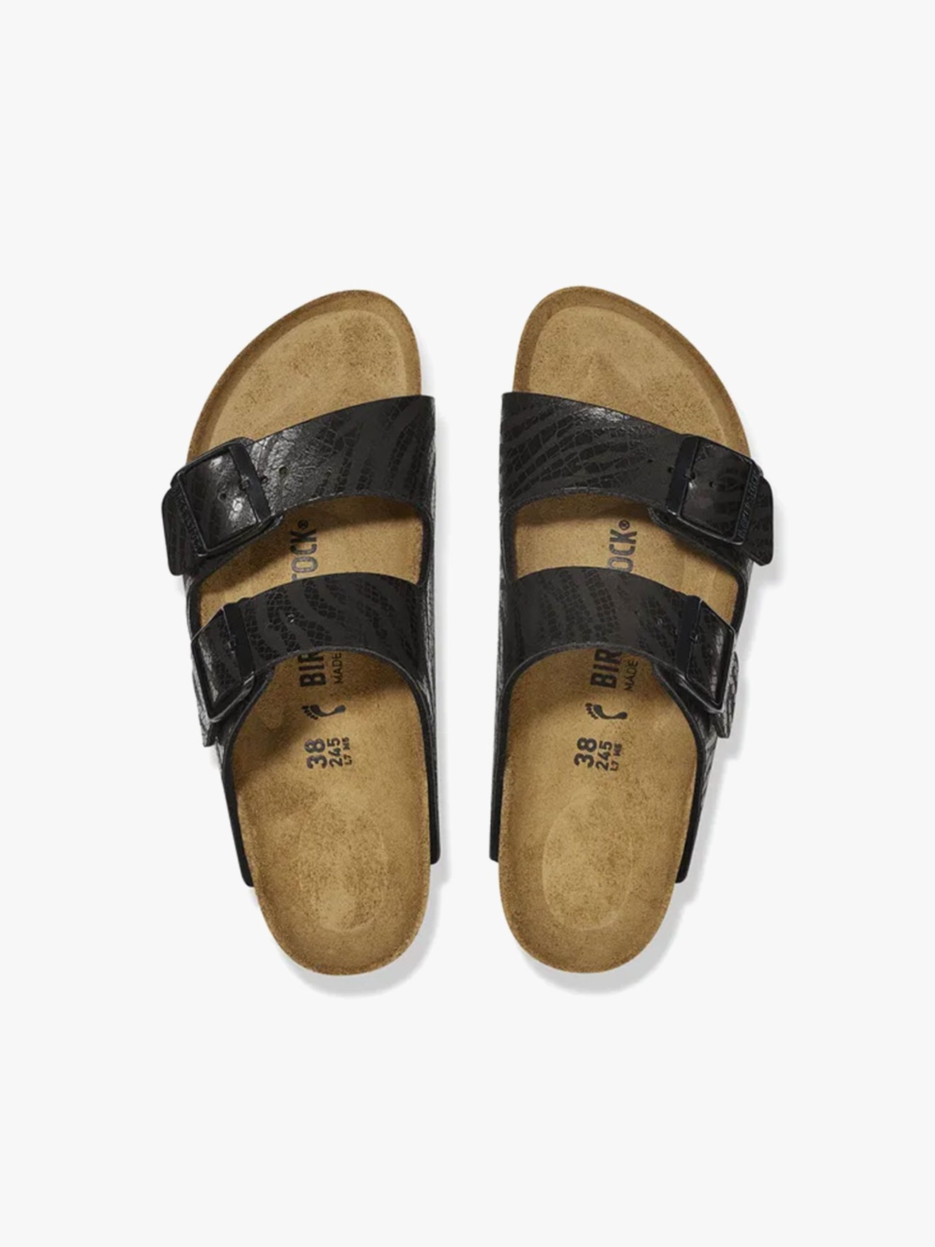 Sand�lias Arizona BS