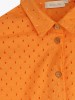 Camisa de Algodo
