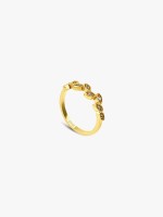Dourado