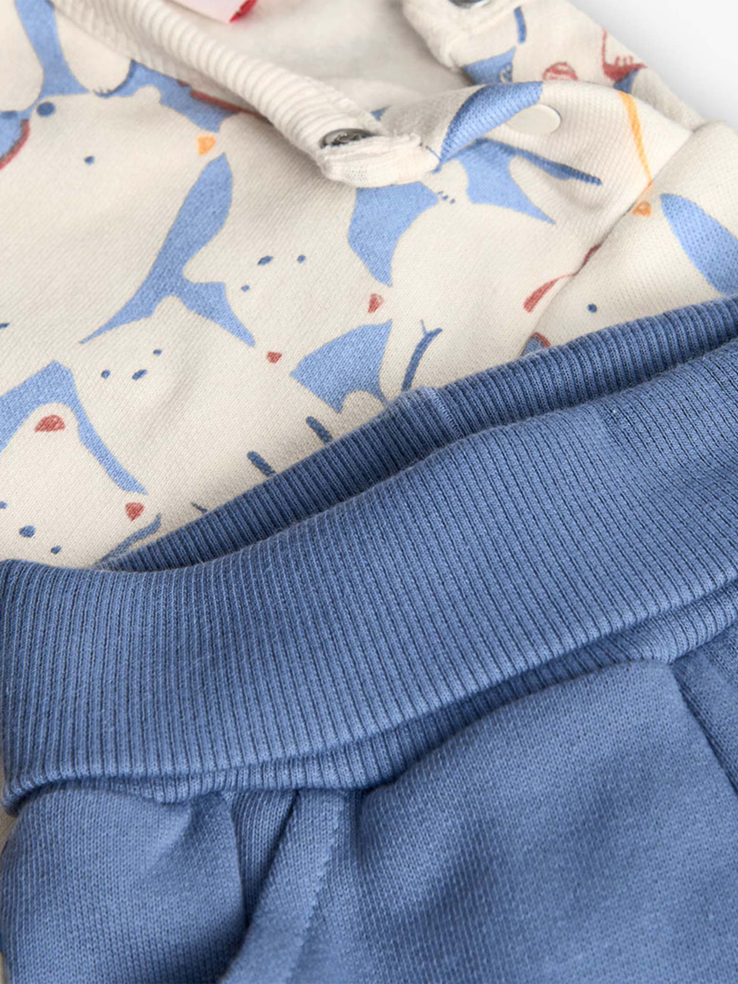 Conjunto de Algodão