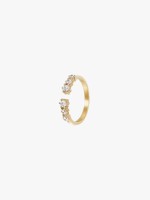 Dourado