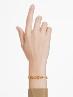 Dourado
