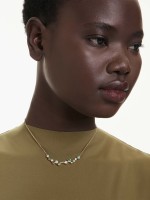 Dourado Dourado