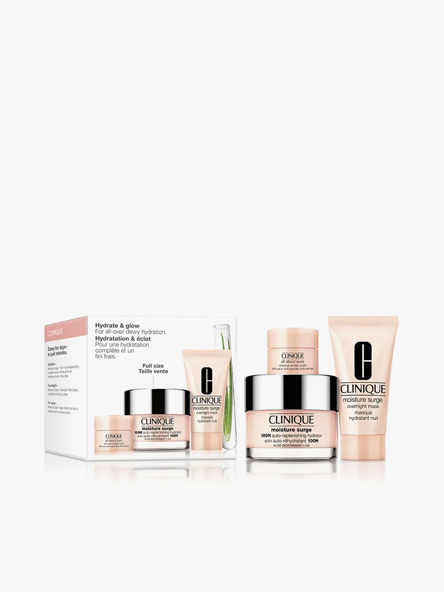 Coffret Moisture Surge 100h