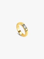 Dourado