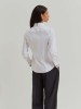 Camisa Clssica de Algodo