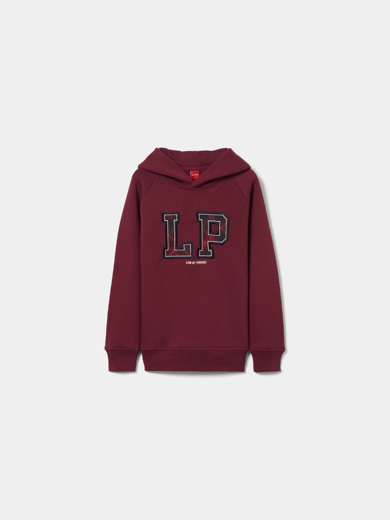 Sweatshirt com Capuz