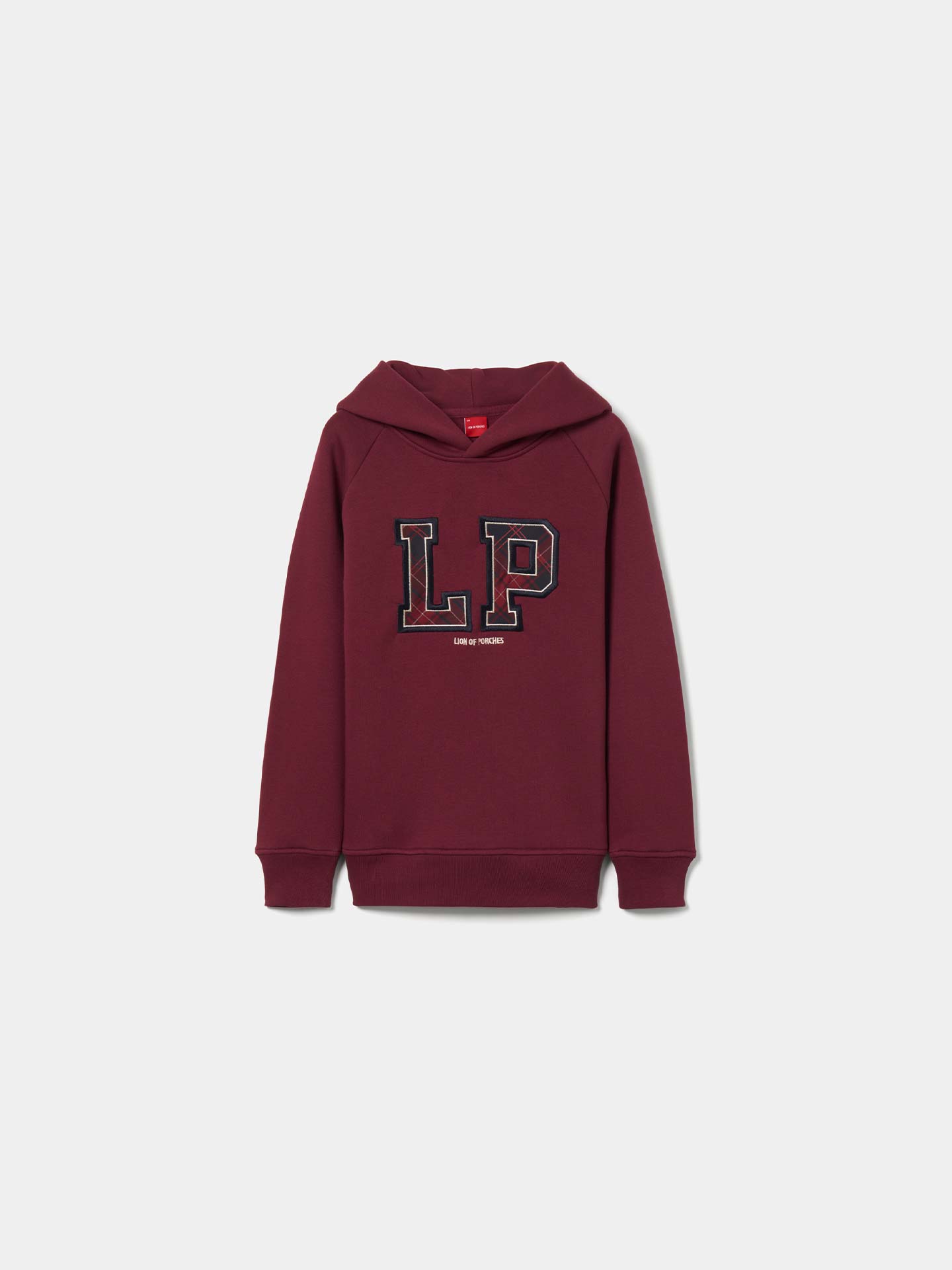 Sweatshirt com Capuz