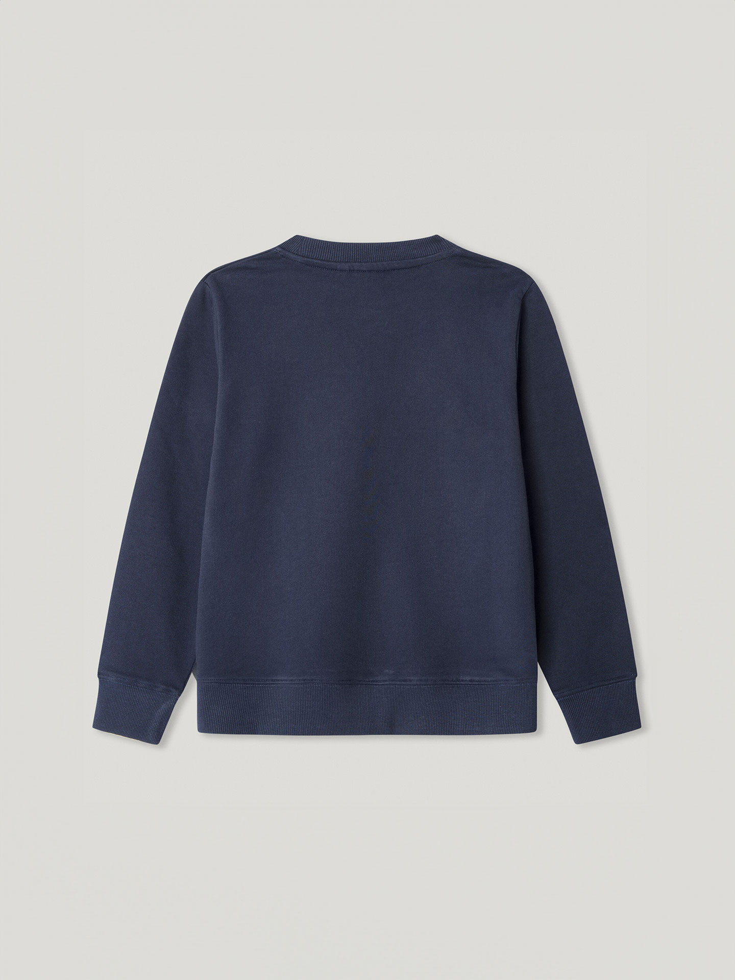 Sweatshirt Regular Fit