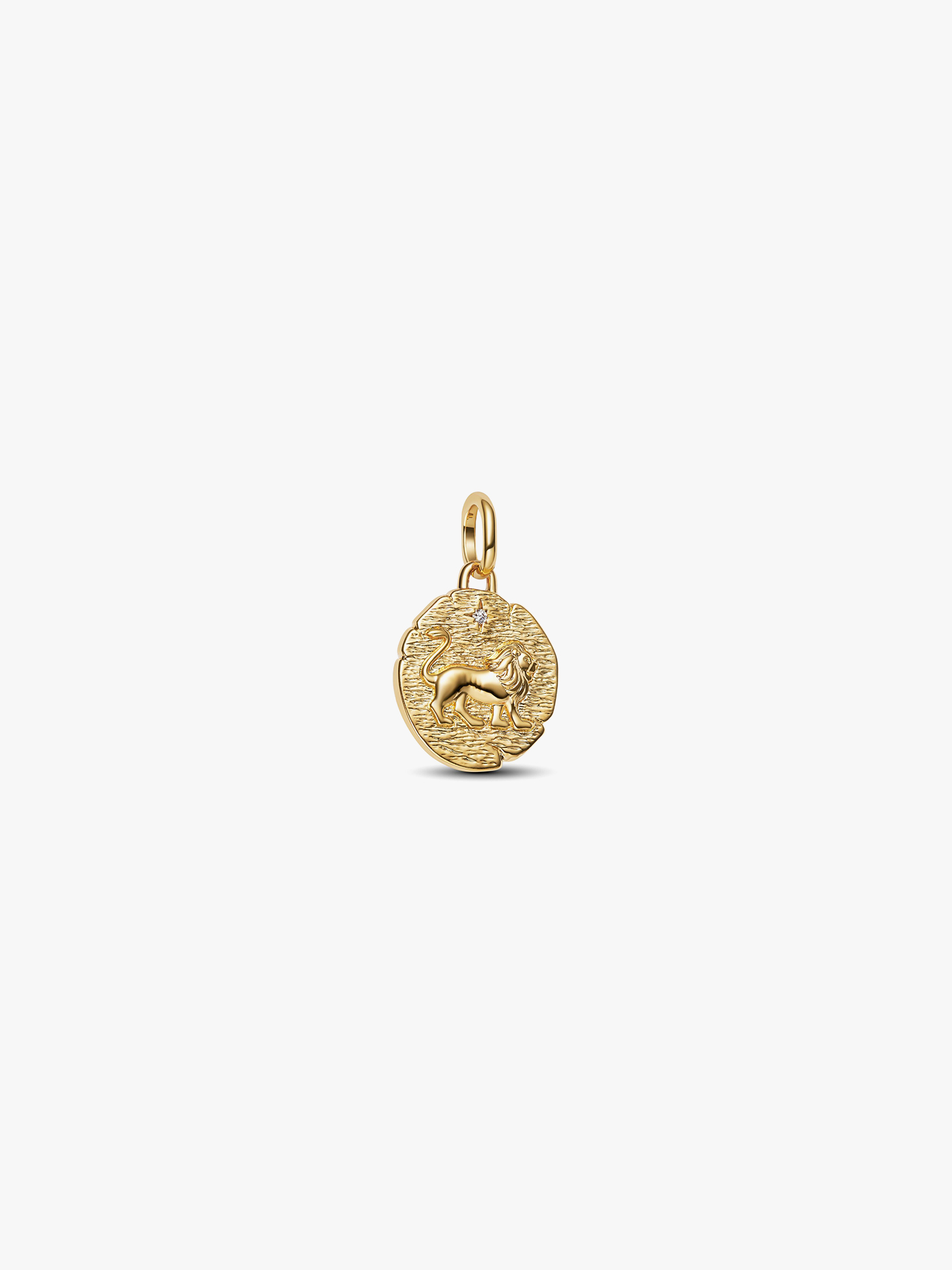 Conta Medalhão Leão