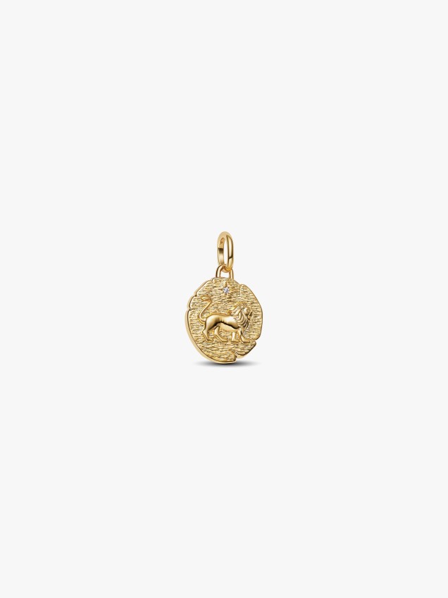 Conta Medalh�o Le�o