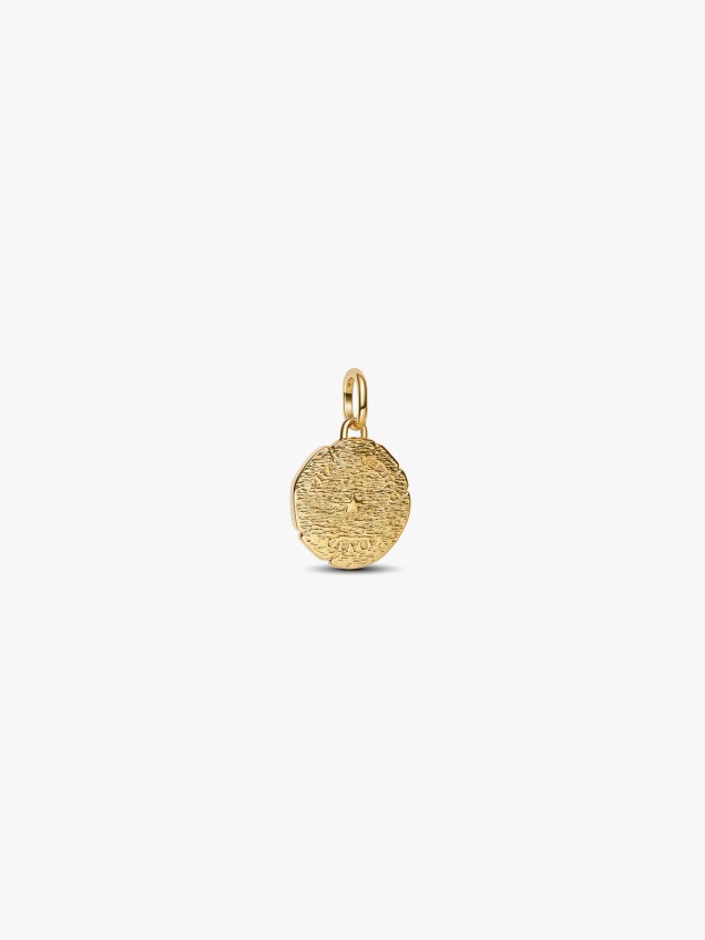 Conta Medalhão Leão