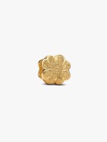 Dourado