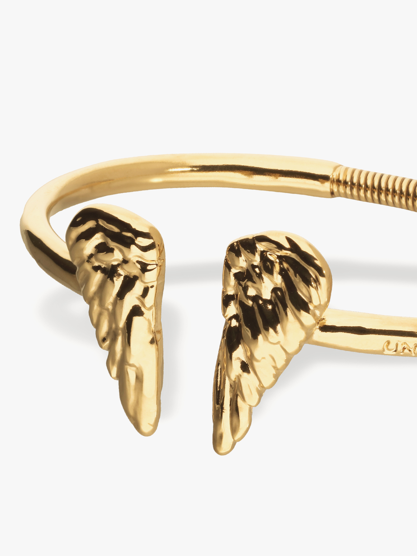 Bracelete Aberta com Asas