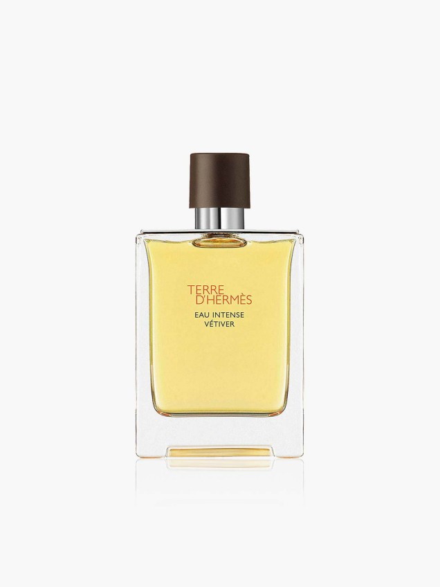 Eau de Parfum Terre d'Hermès