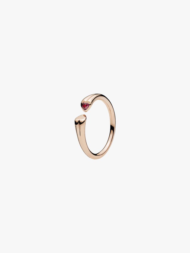 Anel Two Hearts