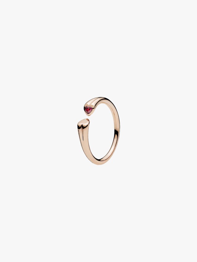Anel Two Hearts