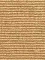 Bege Claro Bege Claro