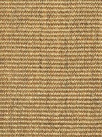 Castanho Claro Castanho Claro