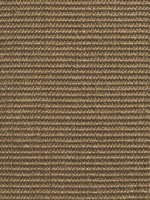 Castanho Escuro Castanho Escuro