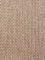 Castanho Claro Castanho Claro