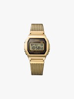 Dourado