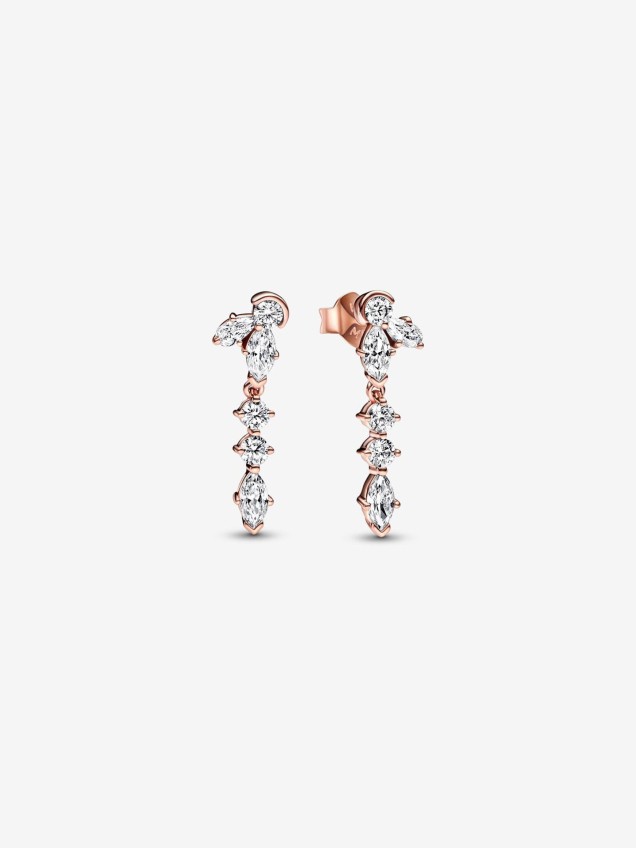 Brincos Sparkling Herbarium Cluster Drop