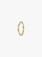 Dourado Dourado