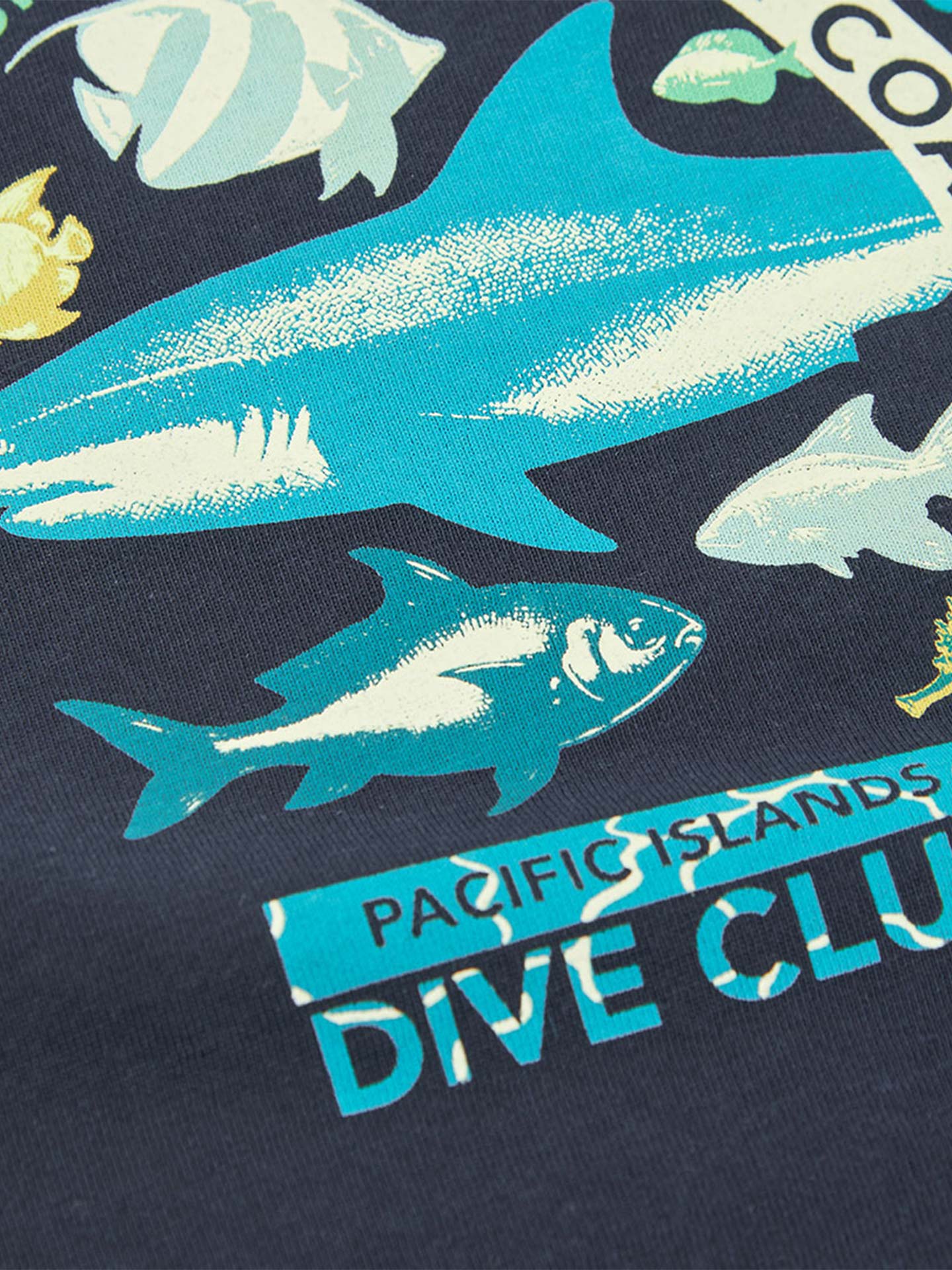 Conjunto de T-shirt e Calções