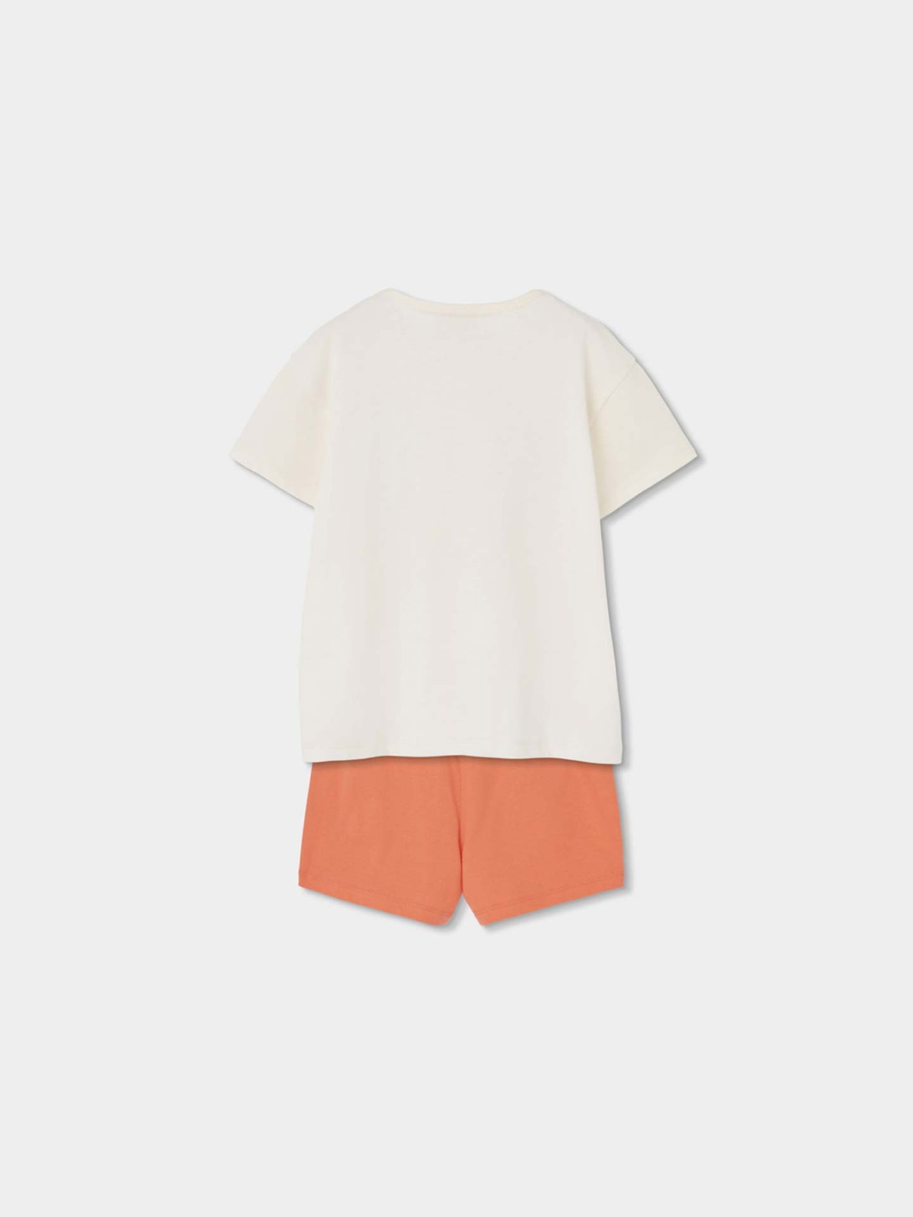 Conjunto de T-shirt e Cal��es