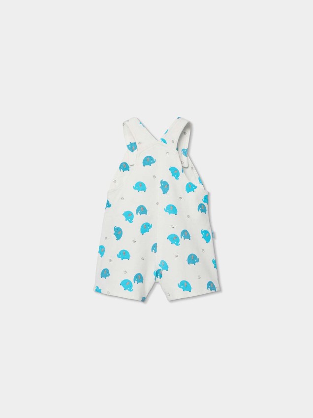 Conjunto de Jardineiras e T-shirt
