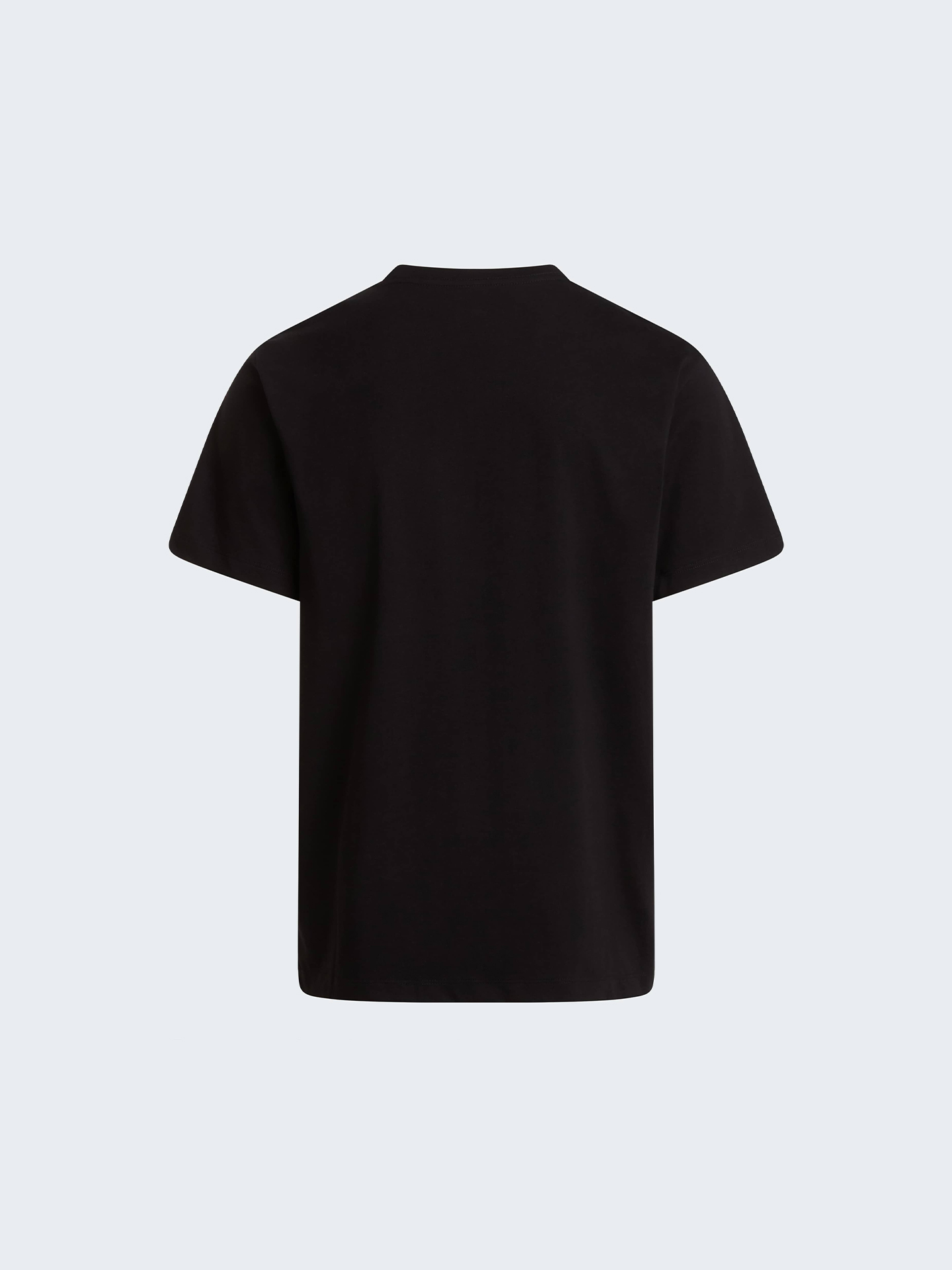 T-Shirt Evolution Simple Dome