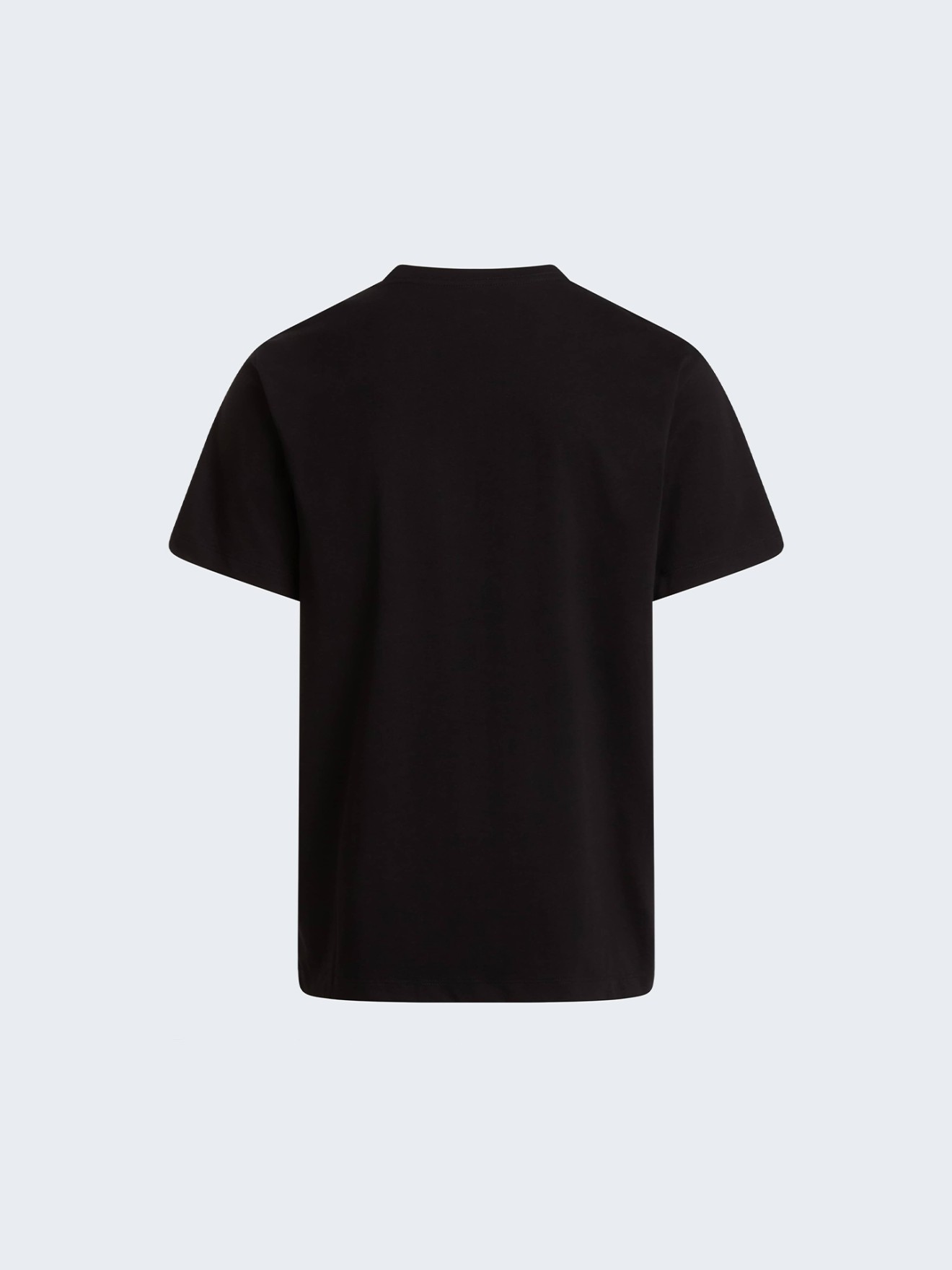 T-Shirt Evolution Simple Dome