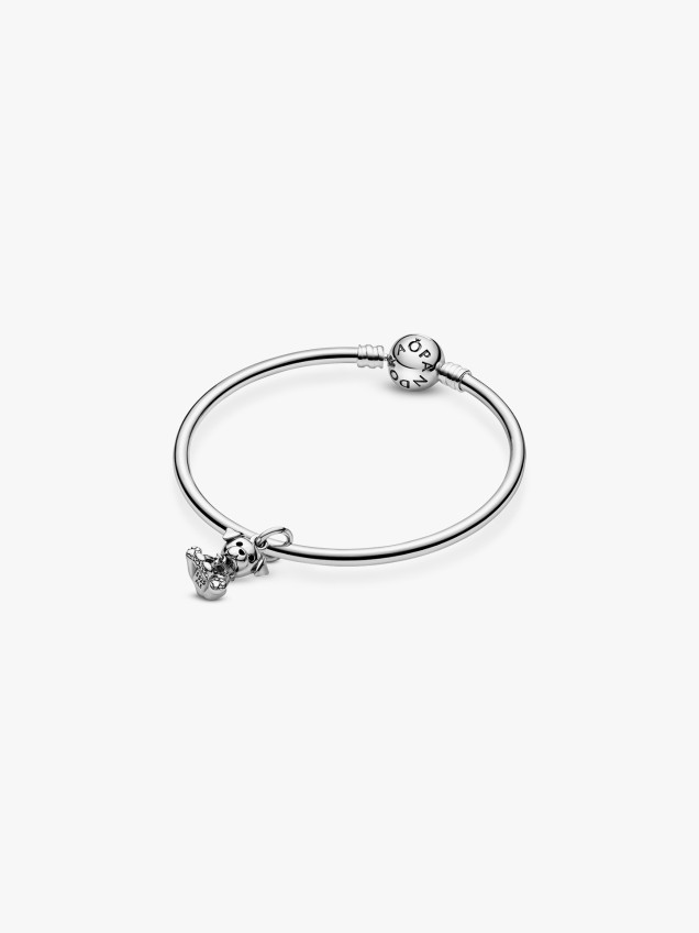 Conta Pendente Labrador