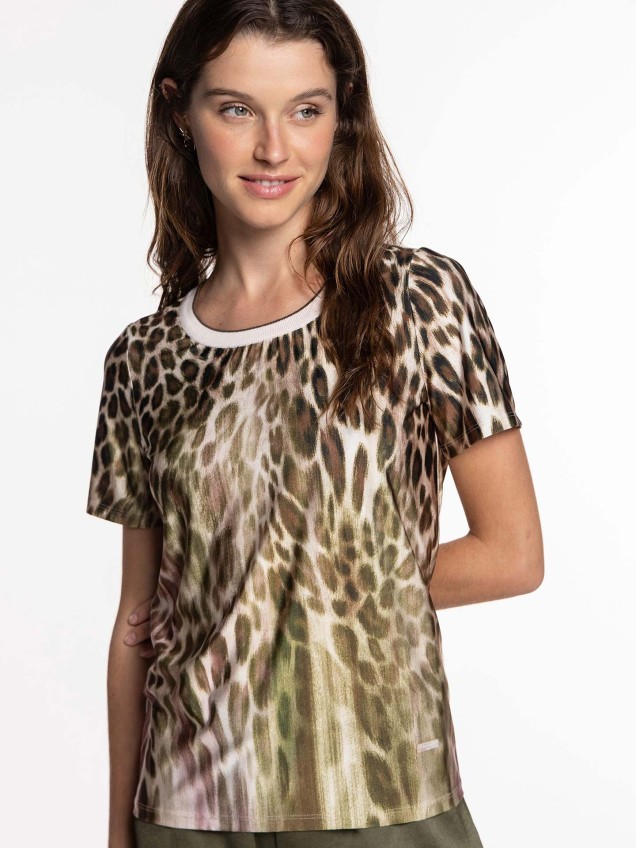 Conjunto de Malha