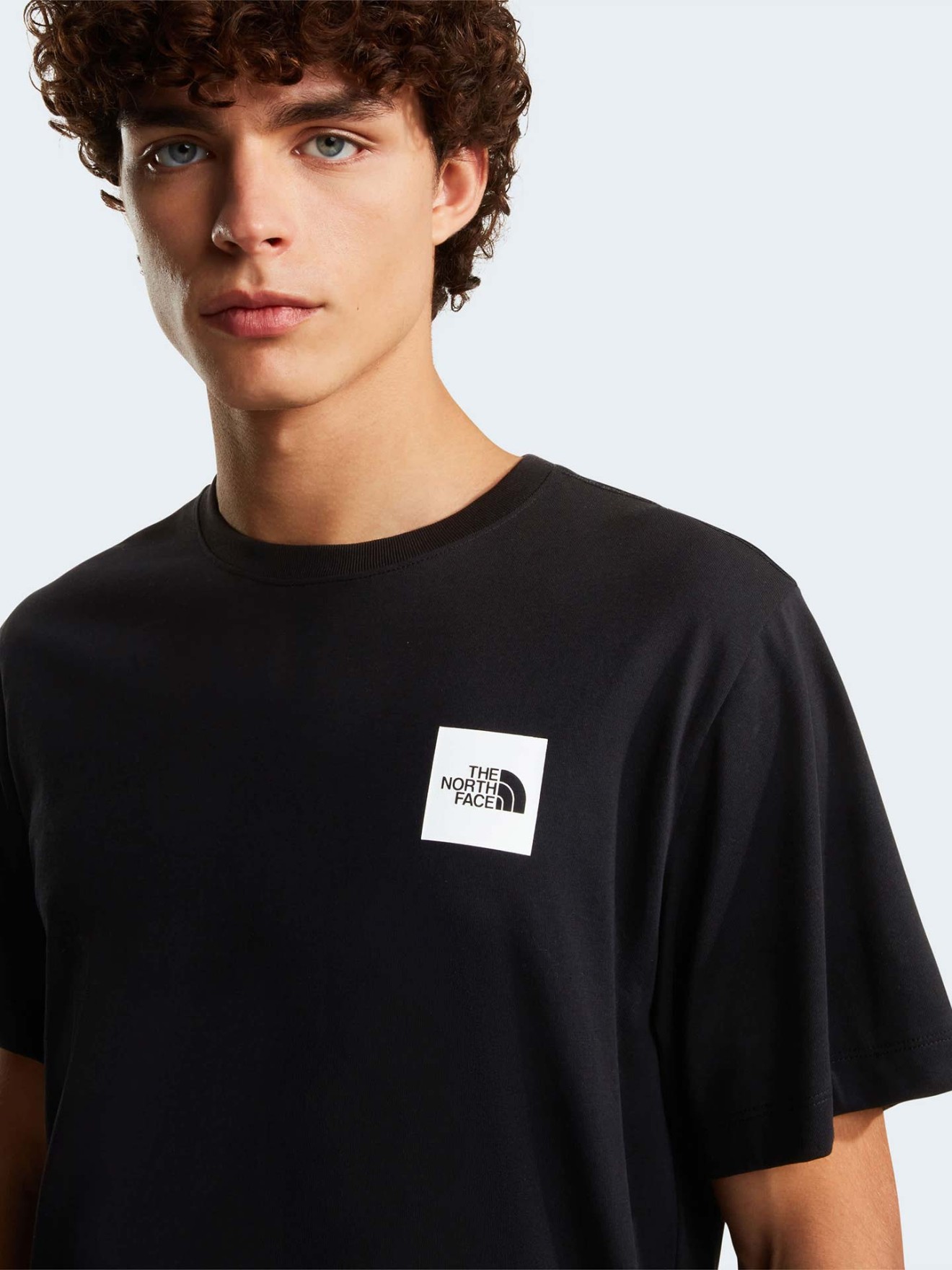 T-shirt Evolution Box Half Dome