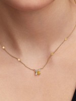Dourado Dourado