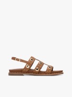 Camel Camel