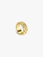 Dourado