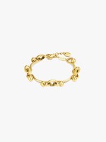 Dourado