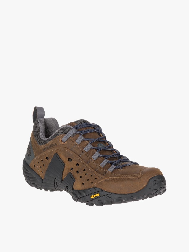 Sapatos de Caminhada Intercept