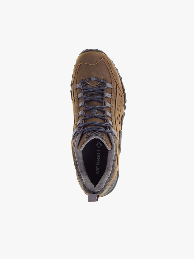 Sapatos de Caminhada Intercept