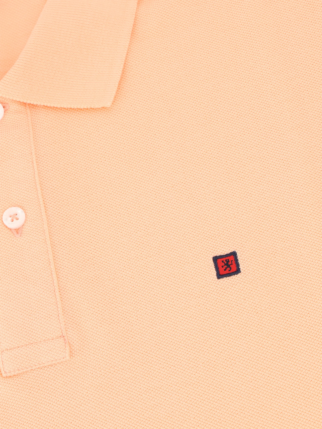 Polo Regular Fit
