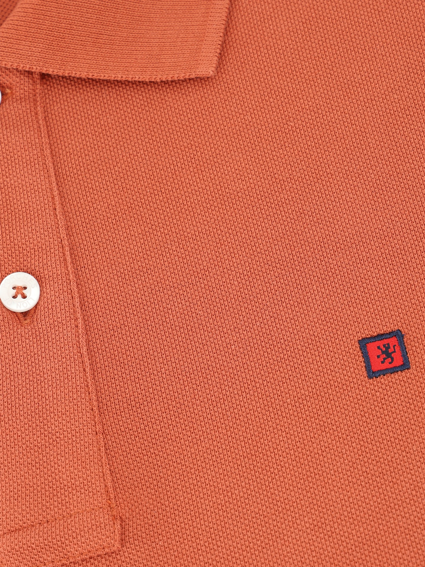 Polo Regular Fit