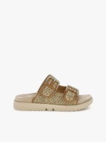 Camel Camel