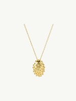 Dourado