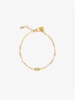 Dourado Dourado