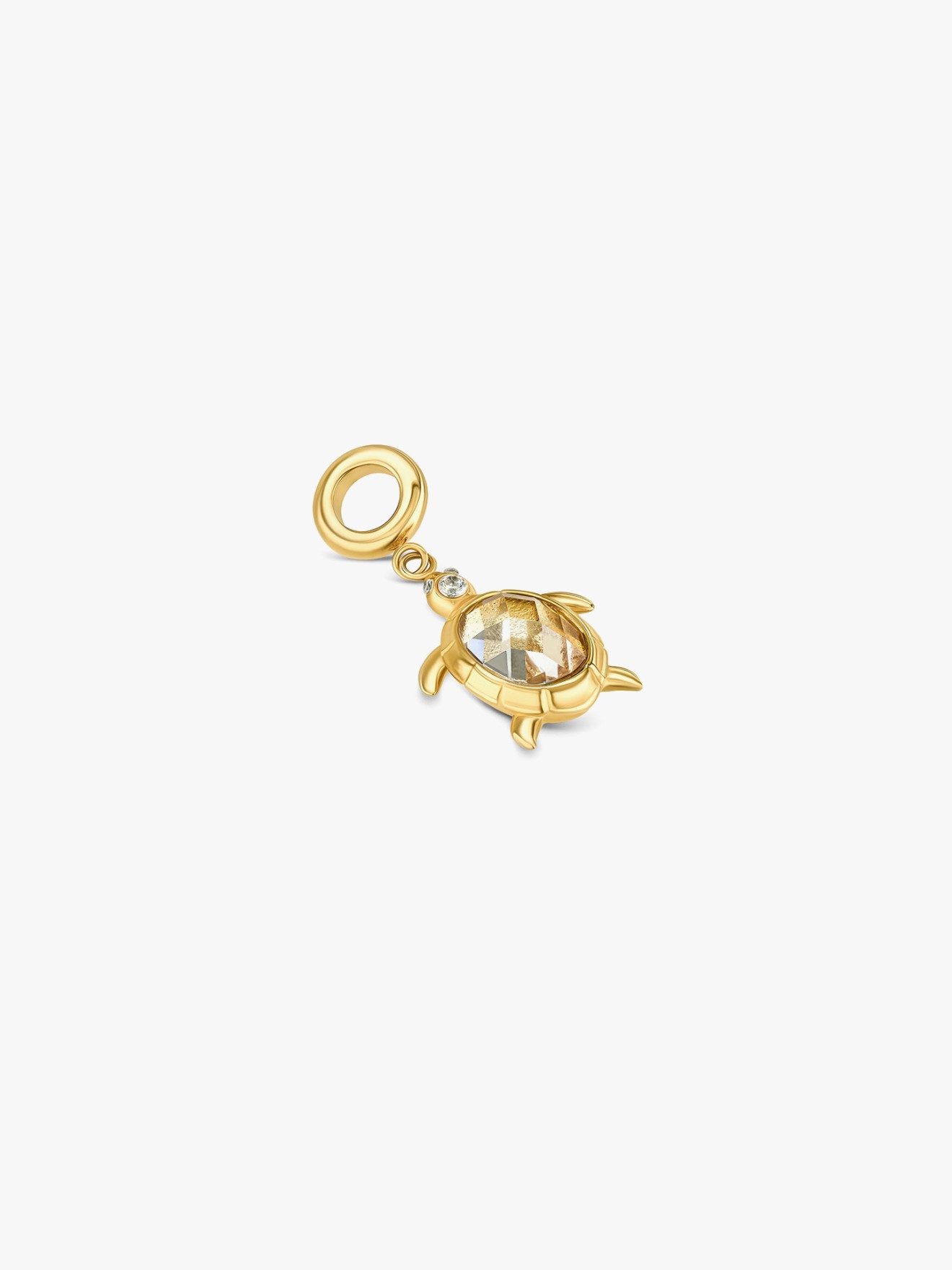 Charme One Energy Sea Turtle