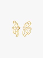 Dourado