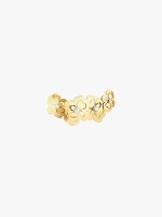 Dourado